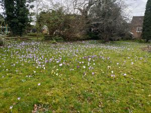 Photo 1- click for photo gallery